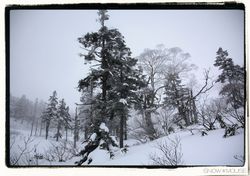 IMG_0290sm