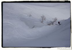 IMG_0037sm