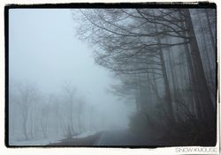 IMG_0098sm